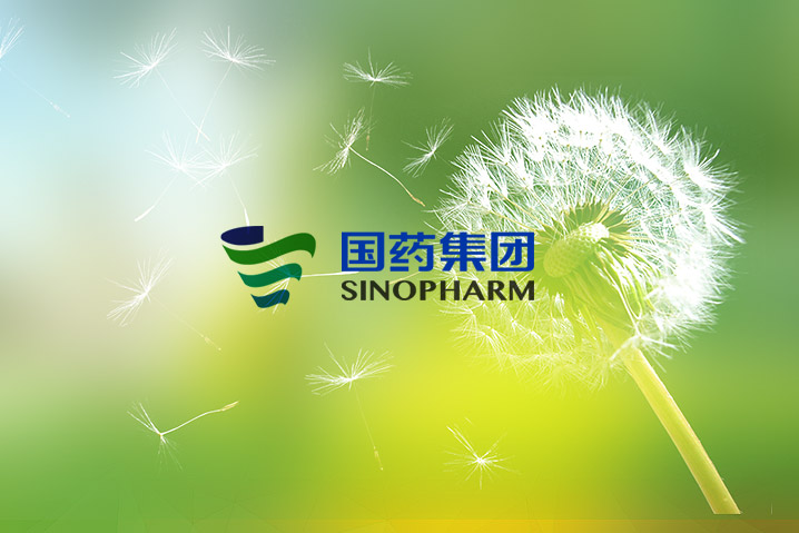 中國醫療器械集團