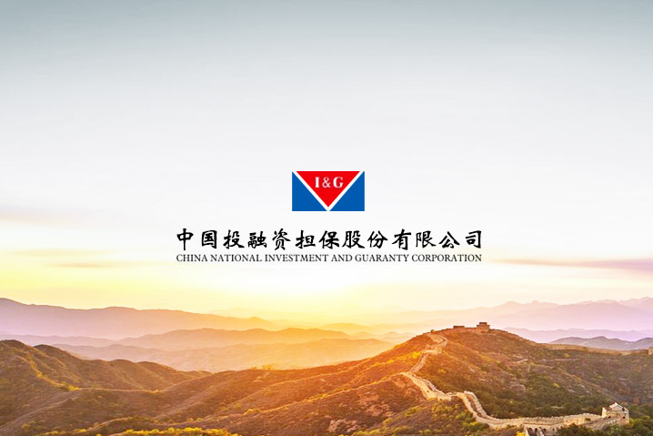 中國投融資擔保集團